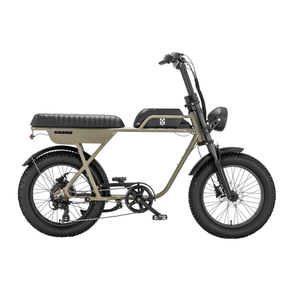 AGM GT250 Fatbike
