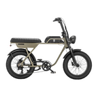 AGM GT250 Fatbike