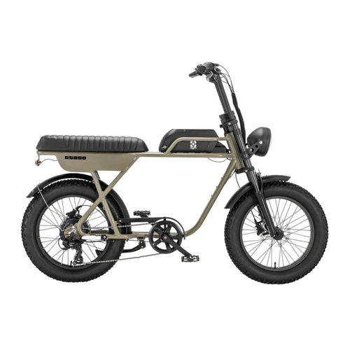 AGM GT250 Fatbike