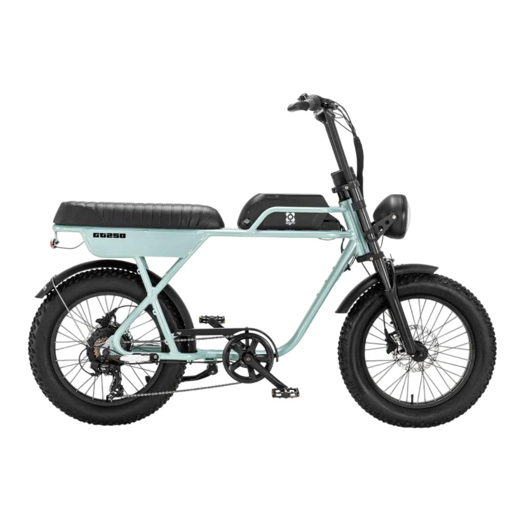 AGM GT250 Fatbike