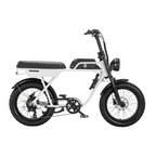 AGM GT250 Fatbike