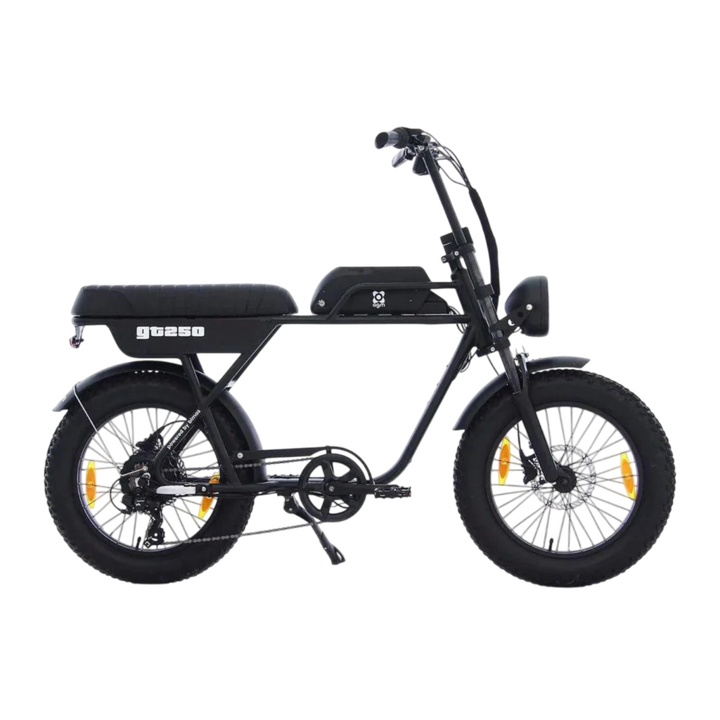 AGM GT250 Fatbike