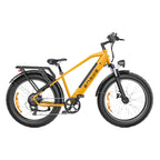 ENGWE E26 Fatbike