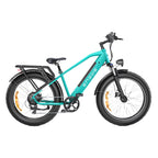 ENGWE E26 Fatbike