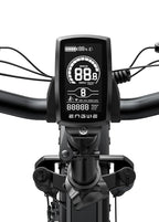 ENGWE EP-2 PRO Fatbike Vouwfiets
