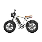 ENGWE M20 Fatbike