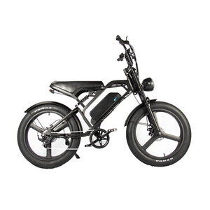 QMWHEEL V20 PRO MAX 24 inch Fatbike