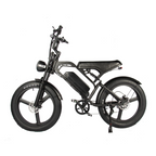 QMWHEEL V20 PRO MAX 24 inch Fatbike