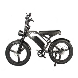 QMWHEEL V20 PRO MAX 24 inch Fatbike (secondary)