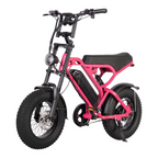 QMWHEEL V20 PRO MINI Fatbike