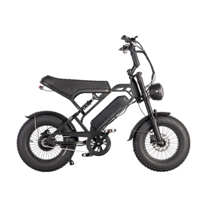 QMWHEEL V20 PRO MINI Fatbike