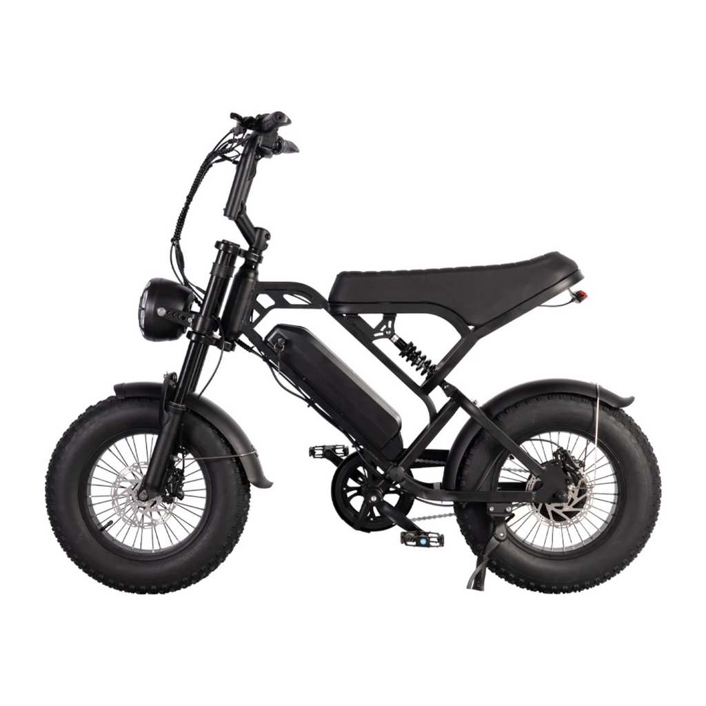 QMWHEEL V20 PRO MINI Fatbike