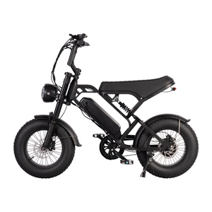 QMWHEEL V20 PRO MINI Fatbike (secondary)